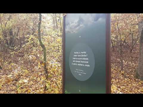 Între nouri și-ntre mare