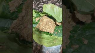 Download lagu Kinema recipe (Nepali Style) #food #foodie #foodlove #foodlover #kinema #nepalifood #nepali #sikkim mp3