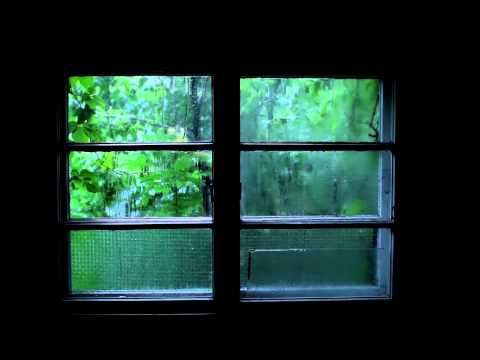 Rain Sound and Thunder - 2 Hours Sleep Meditation Sound Video