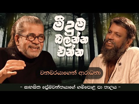 මීදුම බලන්න එන්න වනචරයාගෙන් ආරාධනා | - සාහසික ප්‍රේමවන්තයාගේ ගම්පොළ පා තලය - Thushara Gallessa