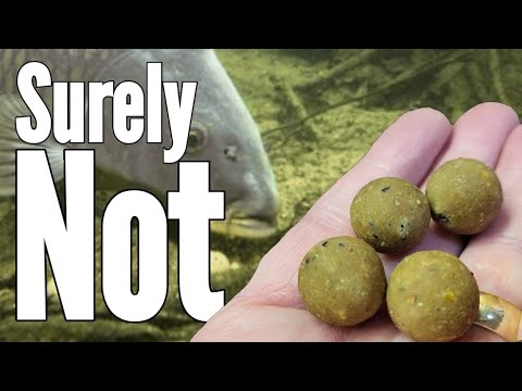 Making a cheap homemade boilie, Can I catch Carp with it? 
