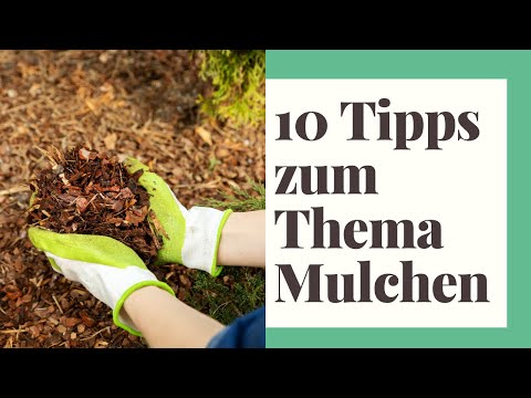 , title : '10 Tipps zum Thema Mulchen'