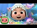 Baby Shark Dance Song CoComelon Kids Songs Learning Videos For Toddlers