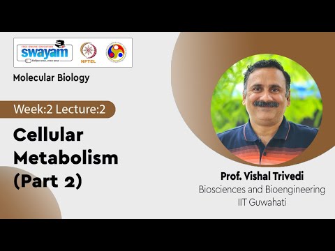 Molecular Biology Introduction Video