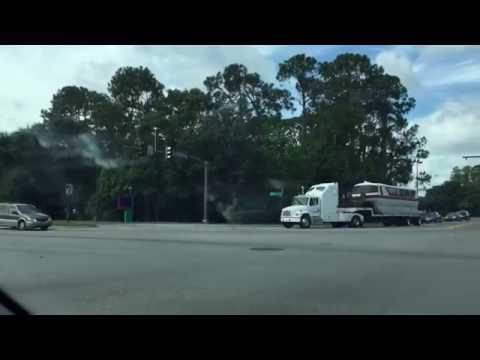 Monty the monorail Personal  Disney World Tour Guide