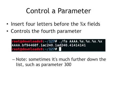 CNIT 127 Ch 4: Introduction to format string bugs