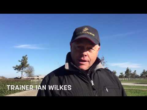 Neck'n Neck sells @Keeneland #3343 !