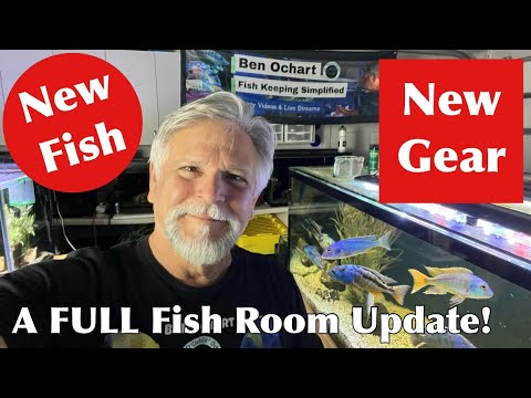 Fish Room Gear that Makes My Life Easier