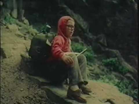 De Ce Are Vulpea Coada segment