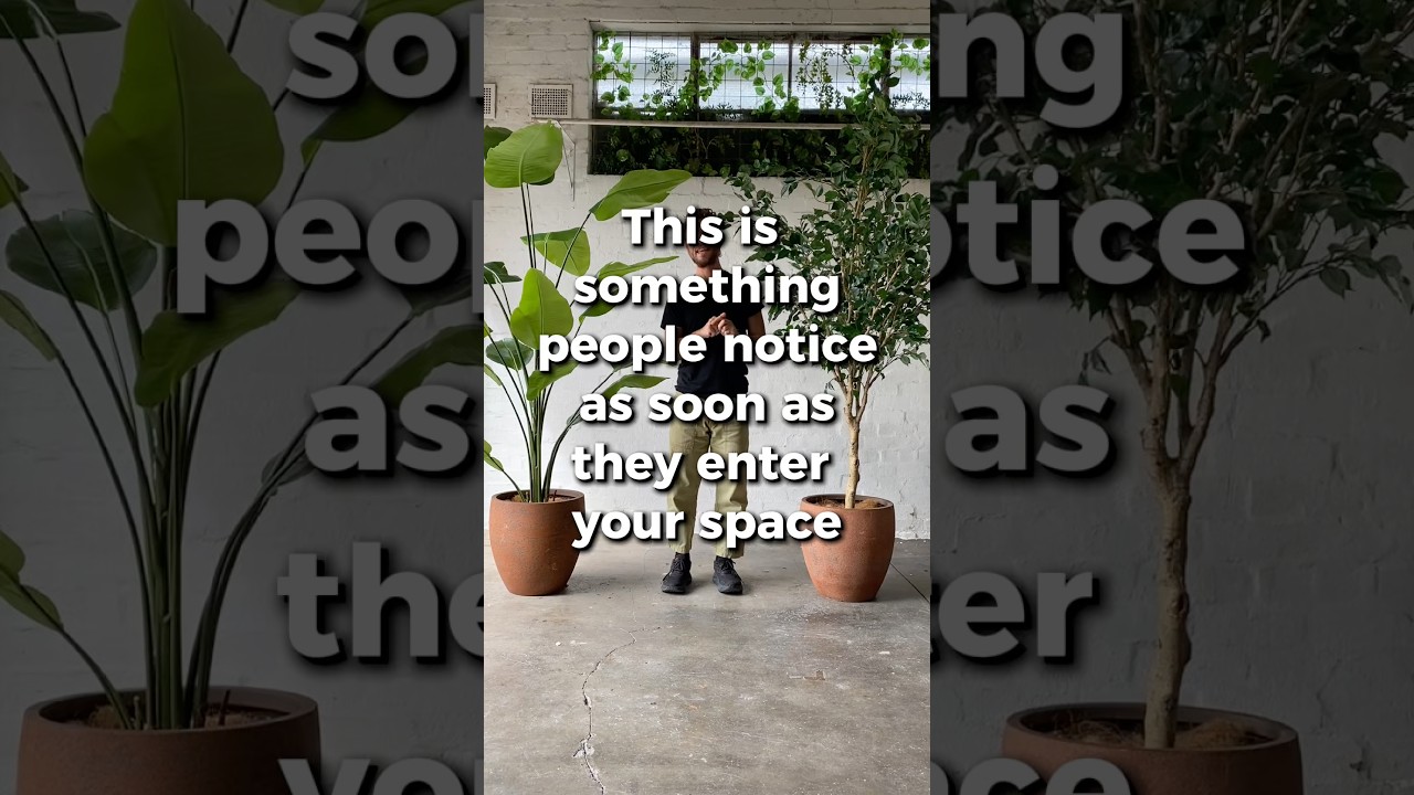 Tall Trees For Your Space