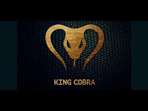 Yves V vs Don Diablo   King Cobra Tomorrowland Edit1