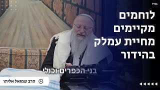 לוחמים מקיימים מחיית עמלק בהידור | הרב שמואל אליהו | הלכה יומית | ט׳ אדר תשפ״ה (הרב שמואל אליהו) - התמונה מוצגת ישירות מתוך אתר האינטרנט יוטיוב. זכויות היוצרים בתמונה שייכות ליוצרה. קישור קרדיט למקור התוכן נמצא בתוך דף הסרטון