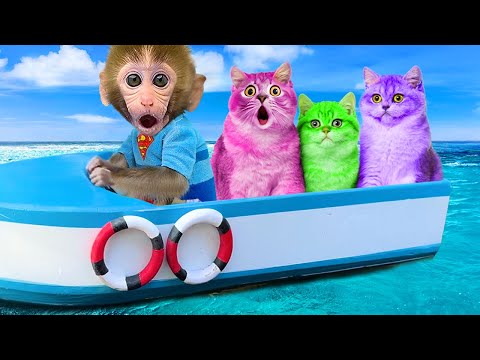 Monkey Baby Bon Bon Rescues Kittens and Swims with Ducklings in the Pool