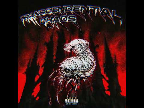 Mugxtsu - Transcendental Chaos