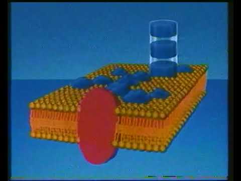 ZDF 1988 Abenteuer Forschung Joachim Bublath Die Reise zum Mars