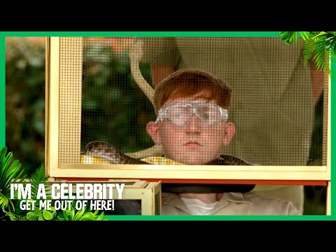 Five new Celebs come face to face with snakes | I'm A Celebrity... Get Me Out of Here! 2025