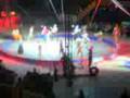 At The Circus