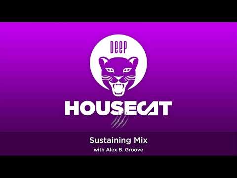 Deep House Cat Show - Sustaining Mix - with Alex B. Groove // incl. free download