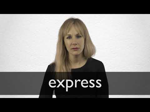 Hindi Translation of “express” | Collins English-Hindi Dictionary