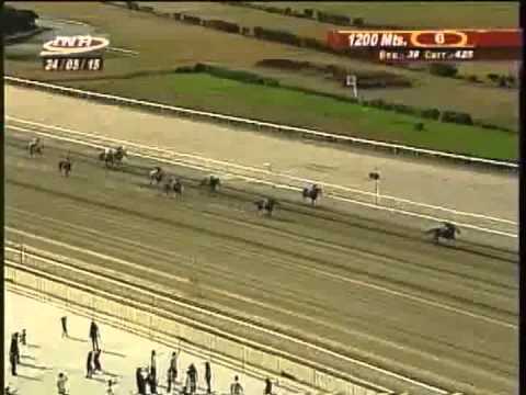 Resumen Domingo, 24 de Mayo de 2015 - La Rinconada