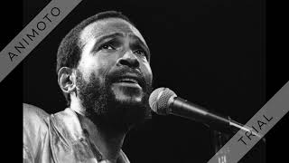 Marvin Gaye - Pretty Little Baby - 1965