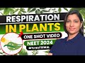 Respiration In Plants Class 11 One Shot NCERT All Concept PYQS Ritu Rattewal NEET Biology