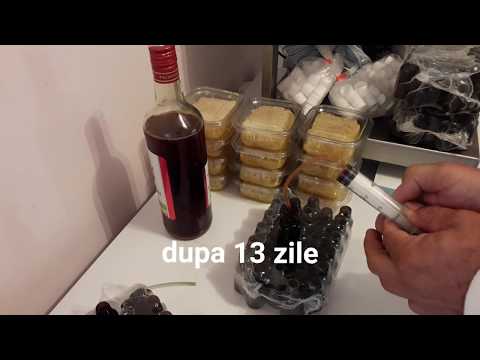 tratament cu papiloame propolis