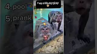 Miniature vidéo