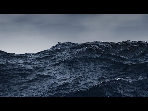 Rottnest Channel Swim abandoned mid-race due to extreme weather