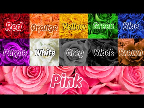 Red, Red Strawberries | Nursery Rhymes | Colors Song | Preschool Rhymes | Colors Name