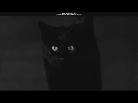 Saul Bass: Walk On The Wild Side (1962) title sequence