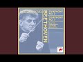 Symphony No. 2 in D Major, Op. 36: II. Larghetto