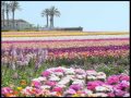 Carlsbad Outlets By 5 Star Taxi