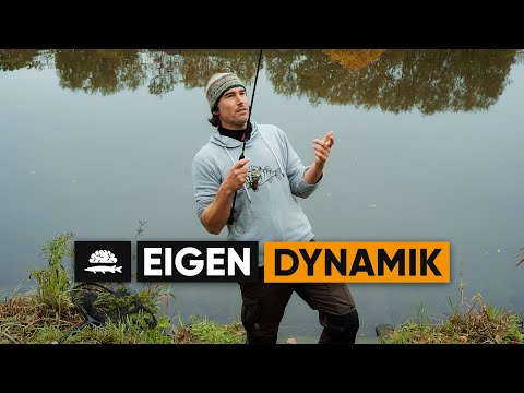 Jigging or Lazy Fishing | Fish and Brains