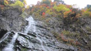 preview picture of video 'Hineri falls シャチアシ沢のヒネリ滝 【秋田県 仙北市】'