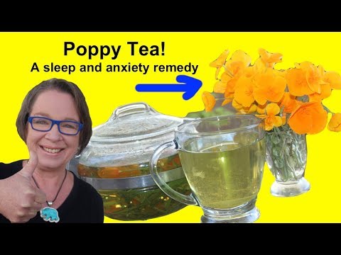 download lagu mp3 mp4 California Poppy Tea Recipe, download lagu California Poppy Tea Recipe gratis, unduh video klip California Poppy Tea Recipe