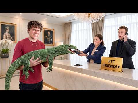 I Tested 'Pet Friendly' Hotels With Dangerous Animals