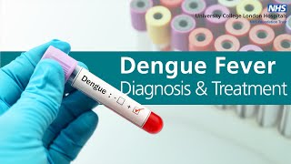 Diagnosis and treatment of dengue fever