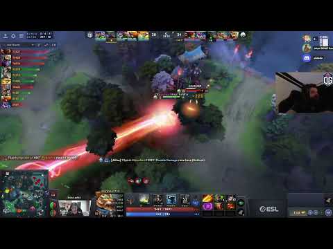 "CoLLapse is such an Animal" - N0tail thoughts on Collapse