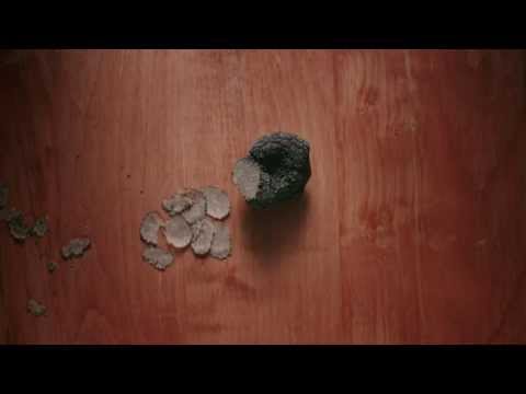 download lagu mp3 mp4 Black Label Pasta, download lagu Black Label Pasta gratis, unduh video klip Black Label Pasta