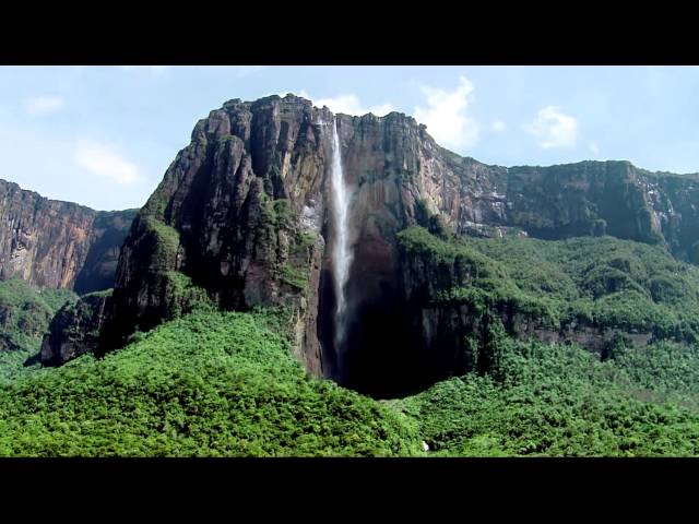 Vídeo relacionado con the lazy panda card company 64 postales macro primeros planos de la naturaleza - Hermosas tomas de la naturaleza desde otro ángulo