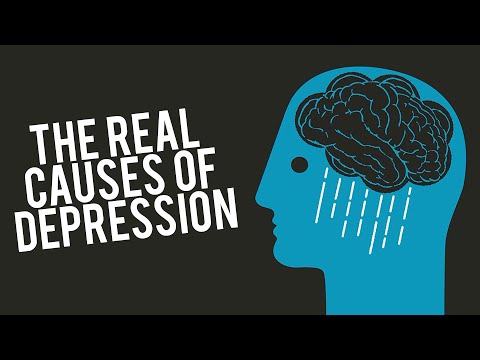 JOHANN HARI | The Real Causes Of Depression & Love Island | Modern Wisdom Podcast 172