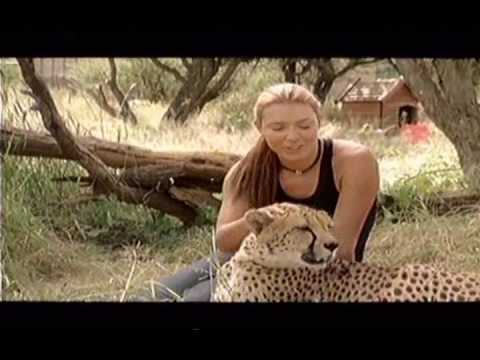 VW Golf Cheetah advert - www.cracker.co.za