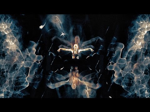 Thy Veils - Wolfaegis