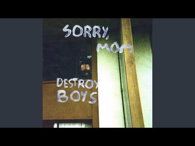 Destroy Boys - El Dúo Punk-rock que está dejando huella