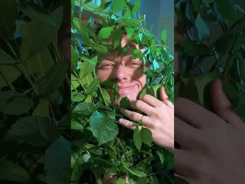 Artists CHANGING their art to fix mistakes #art #shorts