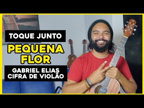 Pequena Flor - André Flavio