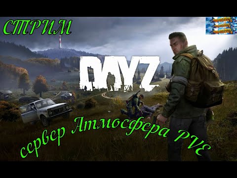DayZ сервер Атмосфера PVE путь от бомжа до олигарха#DayZ#Stalker