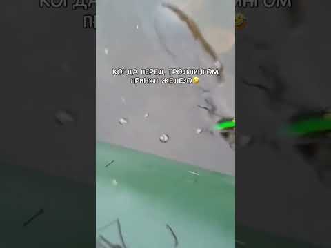 Вот это трофей  огромная щука #fishing #рыбалка