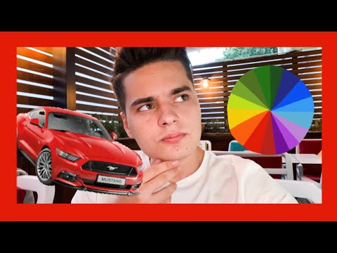 SELLY IMI ALEGE NOUA CULOARE A MUSTANGULUI